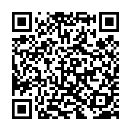QR code for DHS489