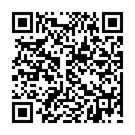 QR code for DHS738