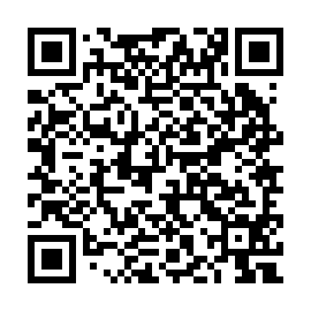 QR code for DHZ294