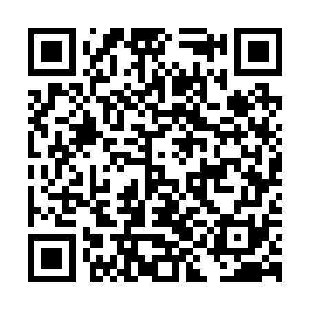 QR code for DIG271