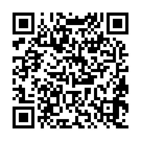 QR code for DIG999