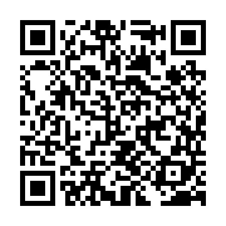 QR code for DII248