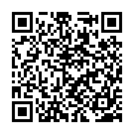 QR code for DIM217