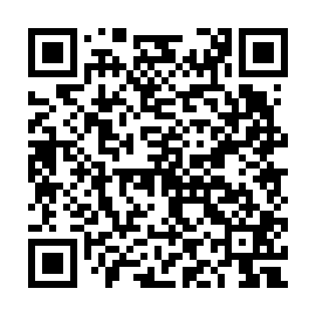 QR code for DIP601