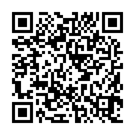 QR code for DIQ980