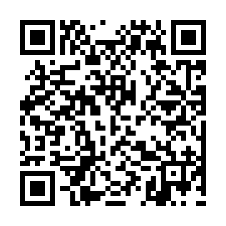 QR code for DIS996
