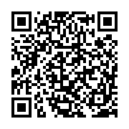 QR code for DIZ597