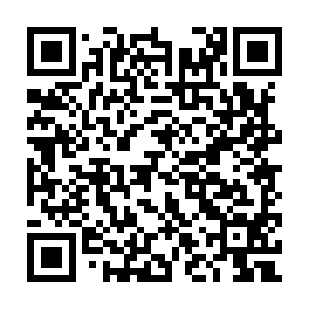 QR code for DLP994