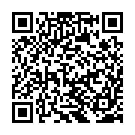 QR code for DNA397