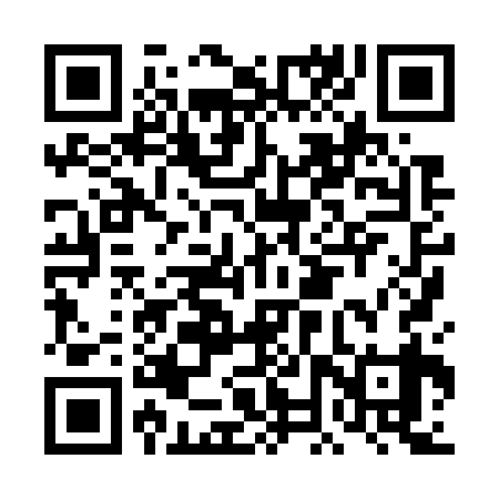 QR code for DNX739