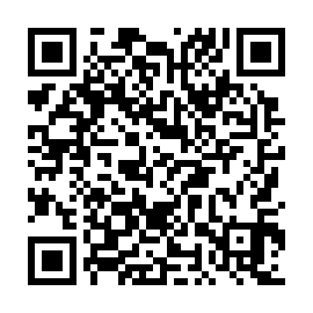 QR code for DOX311