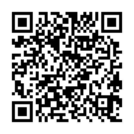 QR code for DPG381