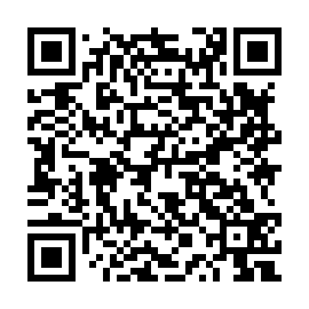 QR code for DPI833