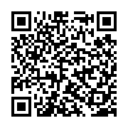 QR code for DPW658