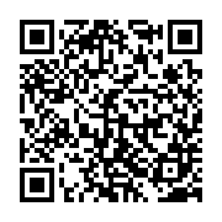 QR code for DRG382