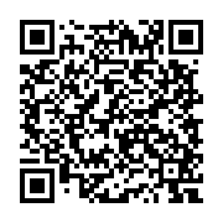 QR code for DSD541