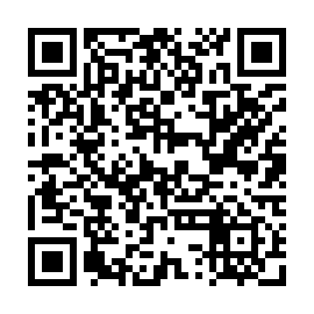QR code for DSF919