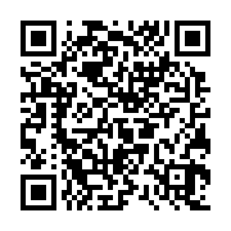 QR code for DSG322