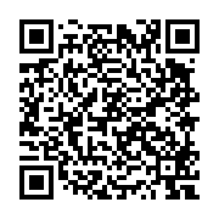 QR code for DSI489