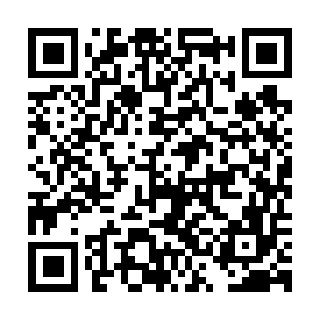 QR code for DSI656