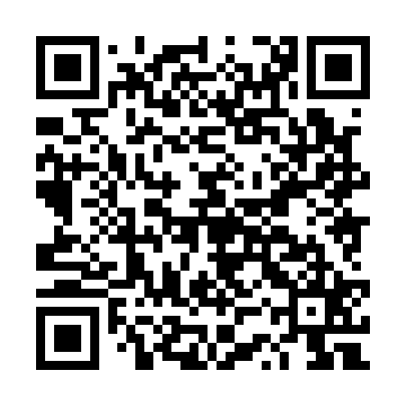 QR code for DSX125