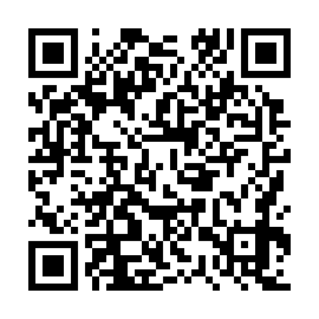 QR code for DSX379