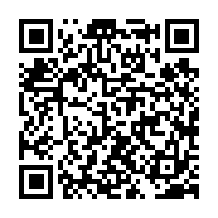 QR code for DSX633