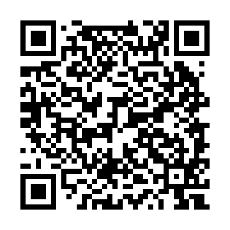 QR code for DTD295