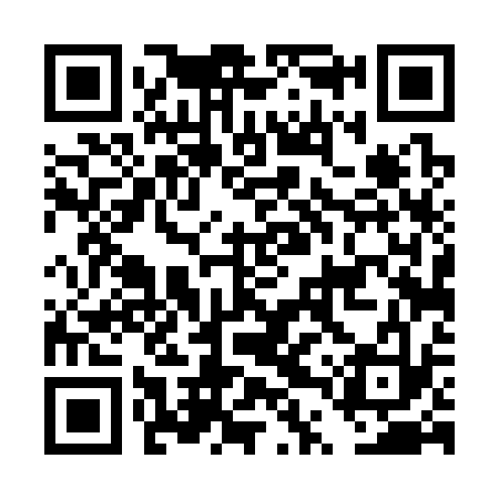QR code for DTT333