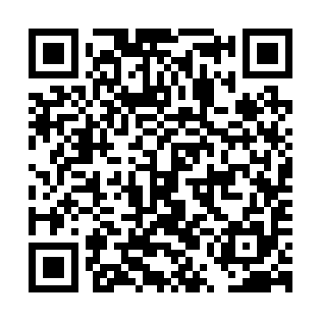 QR code for DUC295