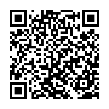 QR code for DUL487