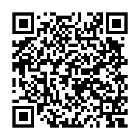 QR code for DVS494