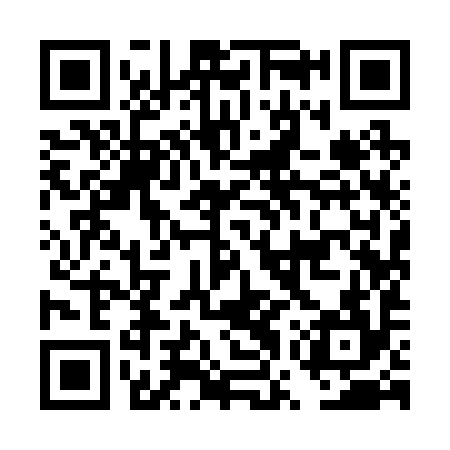 QR code for DWY294