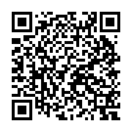 QR code for DXA250