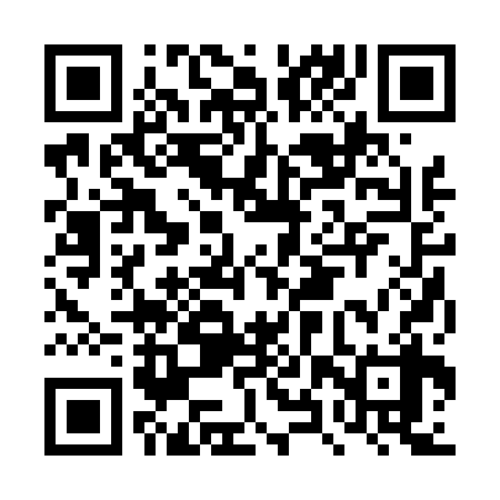 QR code for DXR438