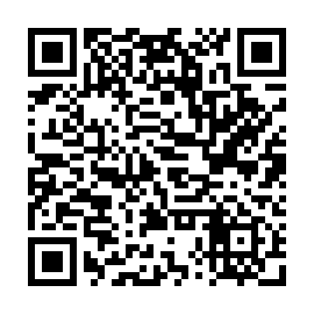 QR code for DXR519