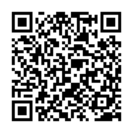 QR code for DYI248