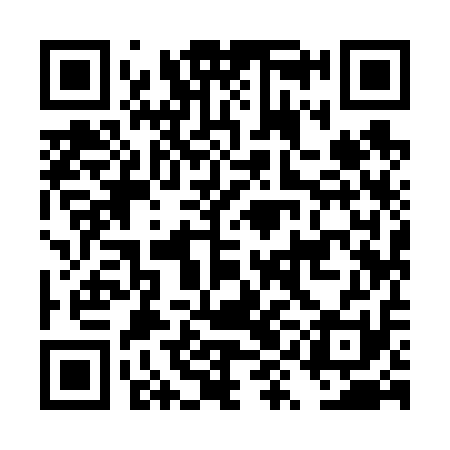 QR code for DYI611