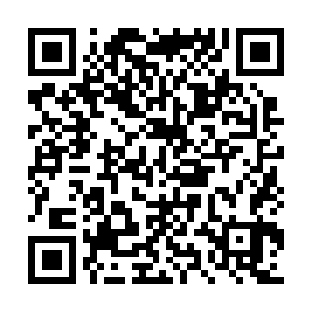 QR code for DYN263