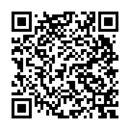 QR code for DYQ611