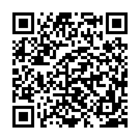 QR code for DYX236