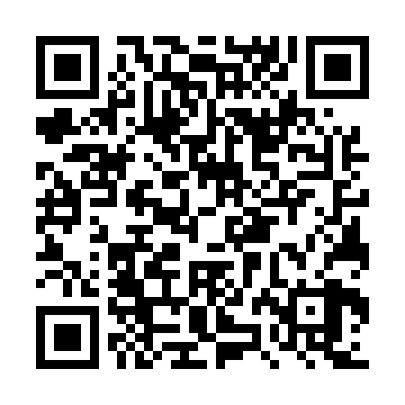 QR code for DZG528