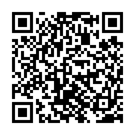 QR code for DZI613