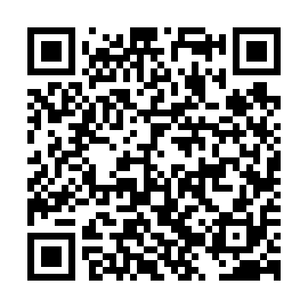 QR code for DZV610