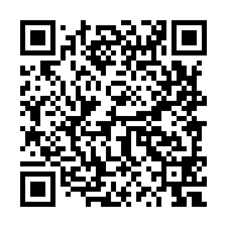 QR code for DZX998
