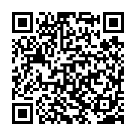 QR code for DZZ611