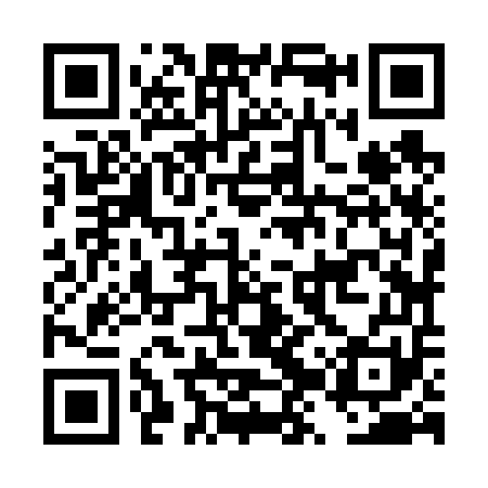 QR code for DZZ651