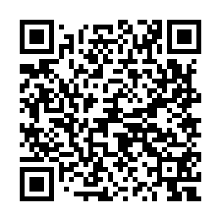 QR code for DZZ950