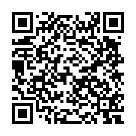 QR code for ECK411