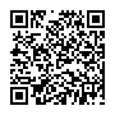 QR code for EEG386